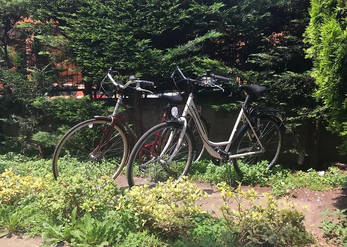 Domus Fluminis Bed & Breakfast